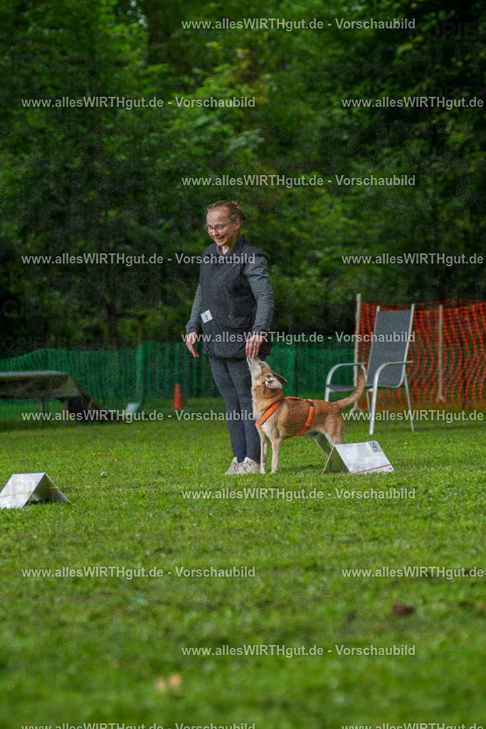 @allesWIRTHgut_Tierfotografie - www.allesWIRTHgut.de - 7R502028 | Professionelle Tierfotografie in Mönchengladbach von Daniel Wirth (allesWIRTHgut). Liebevolle & natürliche Bilder von Hunden & Katzen für unvergessliche Erinnerungen.