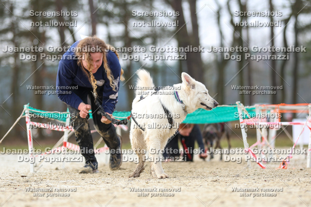 Dog Paparazzi - Strongdog North Mrz26-4287 | Dog Paparazzi Jeanette Grottendiek Fotografie & Videografie - Realisiert mit Pictrs.com
