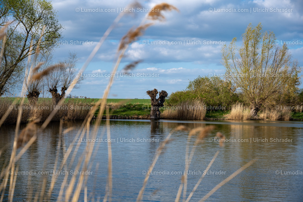 10049-10683 - Teiche bei Gröningen | max. Auflösung 8256 x 5504 - Realisiert mit Pictrs.com