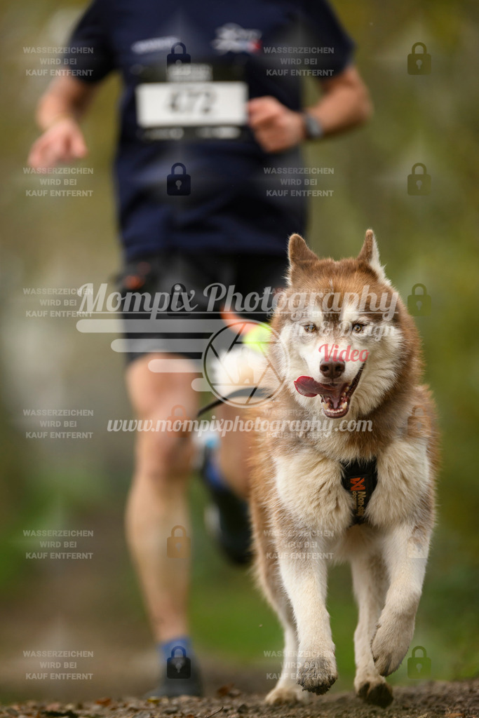 MompixPhotography_20TSB_E6_Run-111 | PayLife