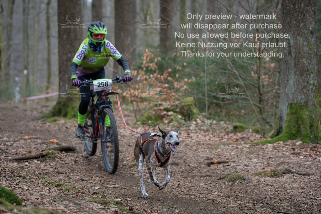 Bike_So-189 | stephaniefillaphotographie - Realisiert mit Pictrs.com