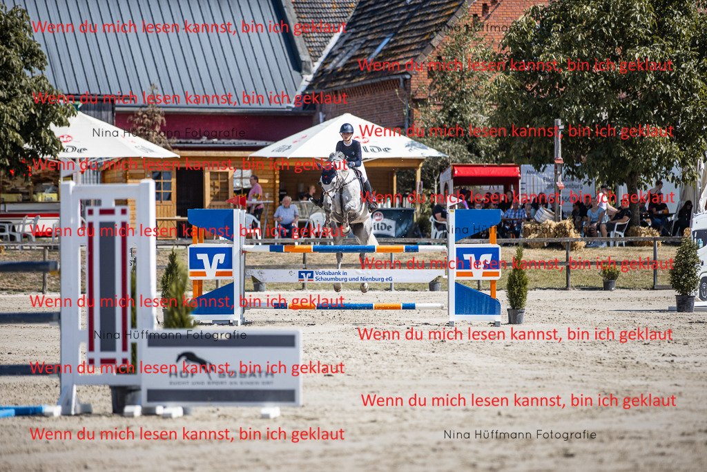 BK1A6811 | Turnierbilder Turnierfotos Nina Hüffmann Turnierfotografie Pferdefotografie Tierzeichnung Haustierzeichnung Pferdezeichnung Hundezeichnung Videograf  - Realisiert mit Pictrs.com