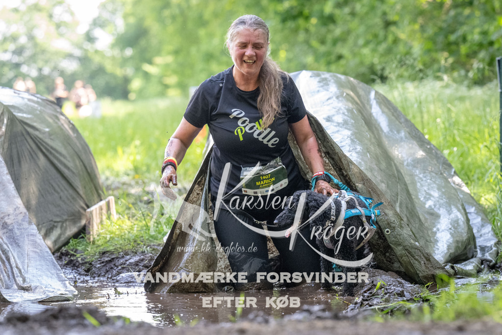 1153_ZZ90064 | kk-dogfotos