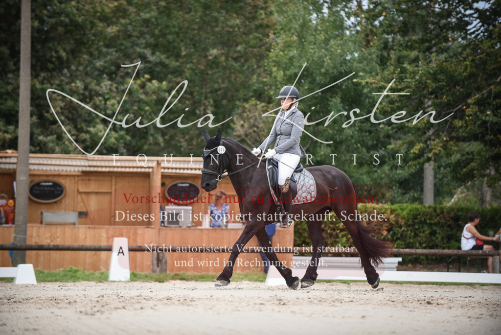DSC_8327 | Pferde- und Turnierfotografie in Westsachsen. Pferdeportraits, Auftragszeichnungen und intuitive Kunst.