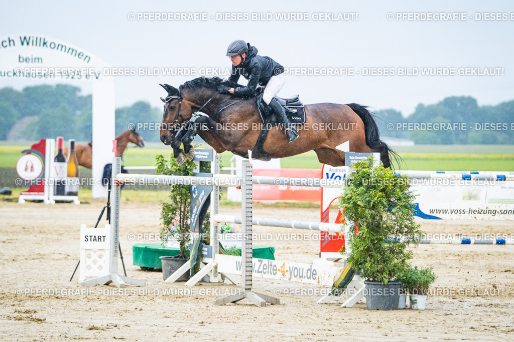 DSC00094 | Pferdegrafie