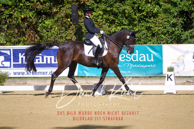 DKP40815 | Turniersportfotografie; Pferdefotografie; Dressurfotografie