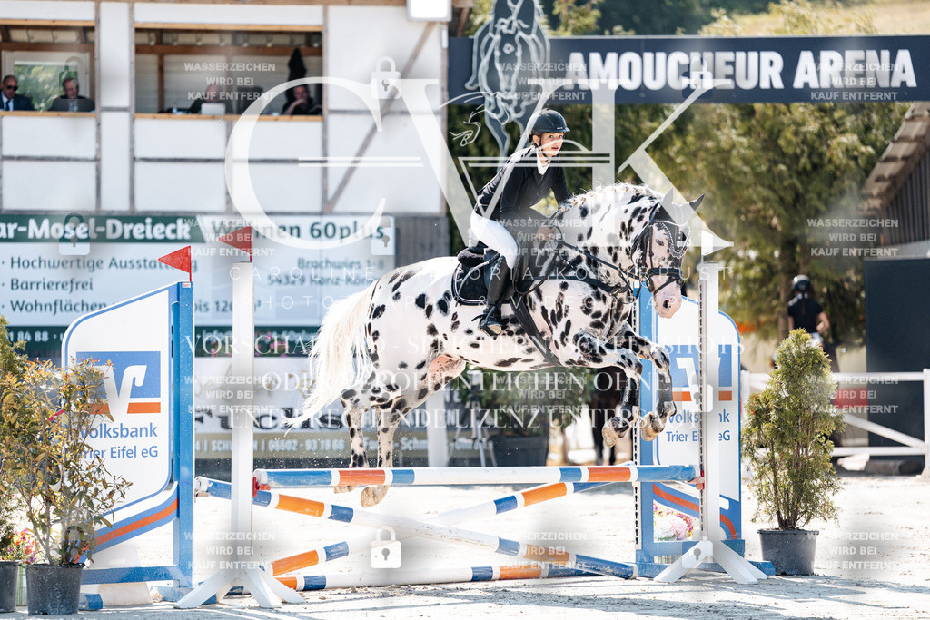 CK905003 | Turnierfotografie Pferdefotografie Trier Rheinland-Pfalz Pferdesport Reitsport Tierfotografie Sportfotografie Pferdevideo Pferdevideografie Equestrianvideography equestrianphotography  - Realisiert mit Pictrs.com