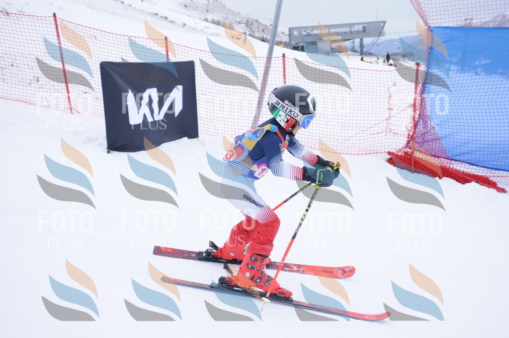 DSC_8530 | holidayphoto