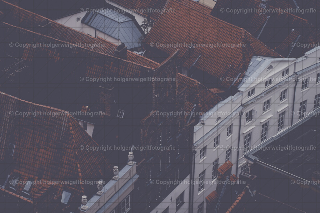 20221005135109D75_9838 | Kaufen sie online außergewöhnliche Fotografien auf Leinwand Acrylglas Fotoprint Aludibond von holgerweigeltfotografie - Realized with Pictrs.com