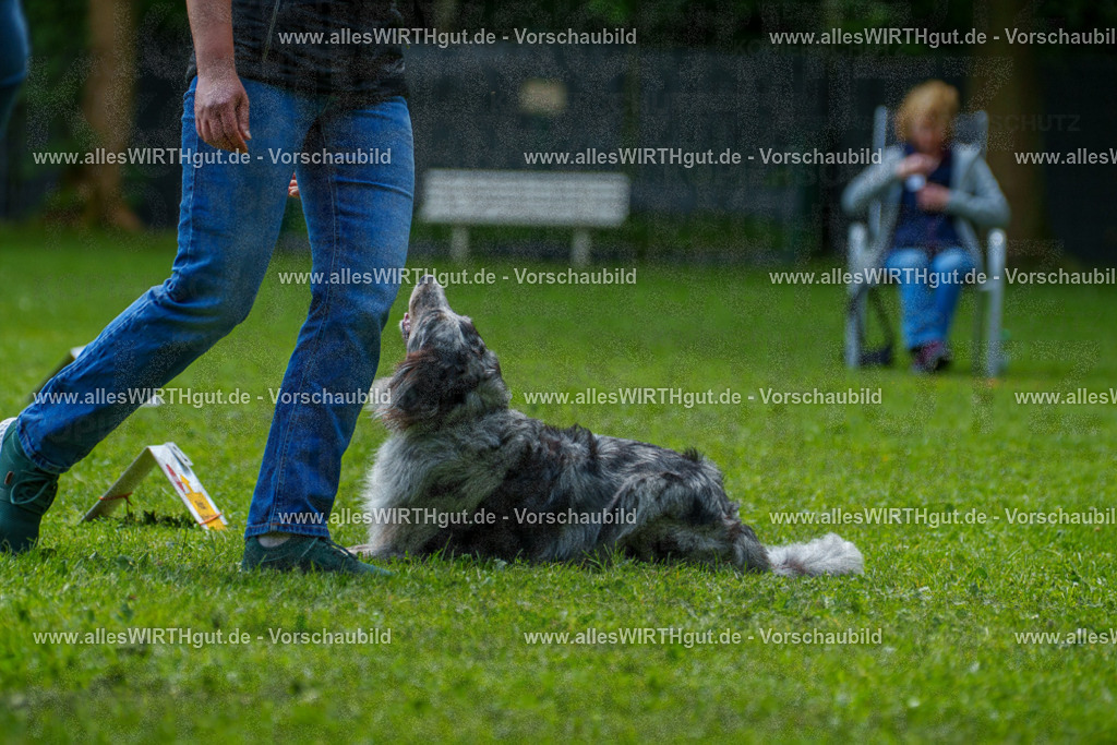 @allesWIRTHgut_Tierfotografie - www.allesWIRTHgut.de - 7R504747 | Professionelle Tierfotografie in Mönchengladbach von Daniel Wirth (allesWIRTHgut). Liebevolle & natürliche Bilder von Hunden & Katzen für unvergessliche Erinnerungen.
