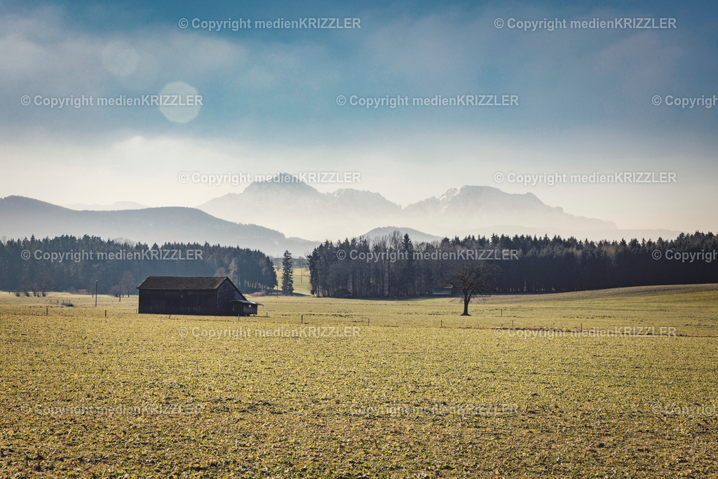 _J3A0155 | medienkrizzler - Realisiert mit Pictrs.com