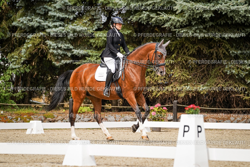 DSC05307 | Pferdegrafie