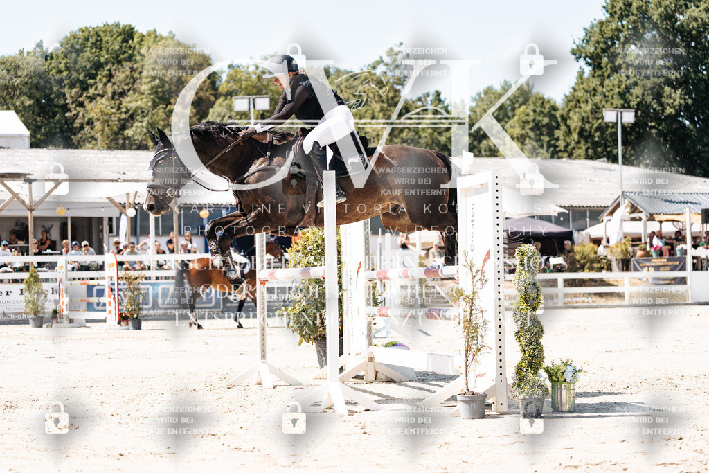 CK909556 | Turnierfotografie Pferdefotografie Trier Rheinland-Pfalz Pferdesport Reitsport Tierfotografie Sportfotografie Pferdevideo Pferdevideografie Equestrianvideography equestrianphotography  - Realisiert mit Pictrs.com