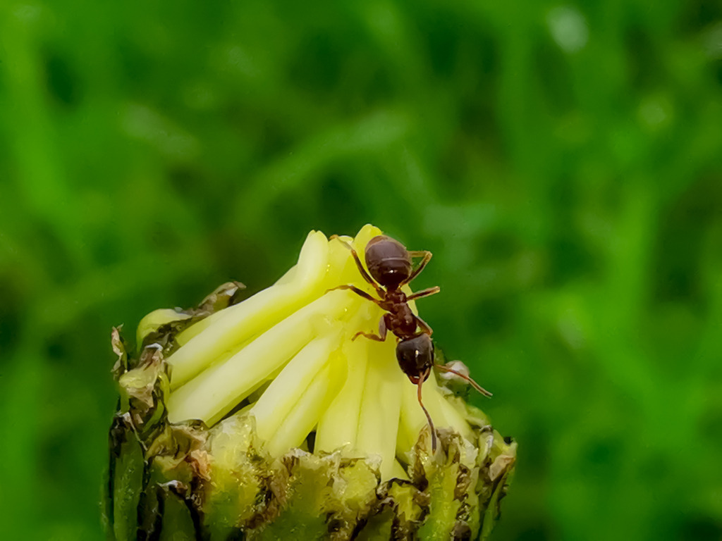 PSX_20230524_231849 | mtkfoto_ - Realisiert mit Pictrs.com