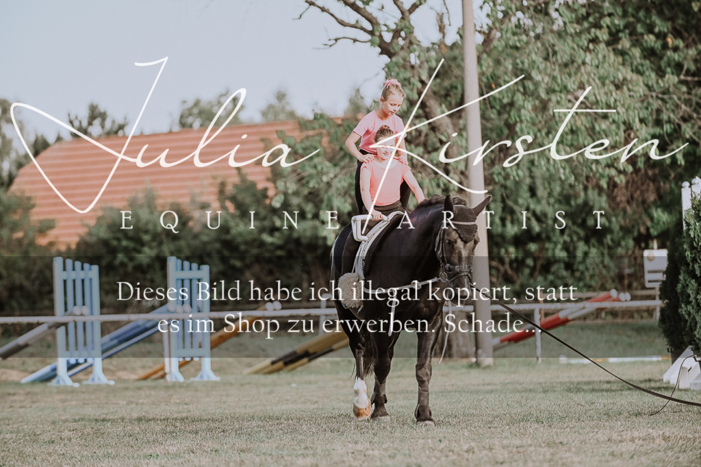 DSC_0025 | Pferde- und Turnierfotografie in Westsachsen. Pferdeportraits, Auftragszeichnungen und intuitive Kunst.