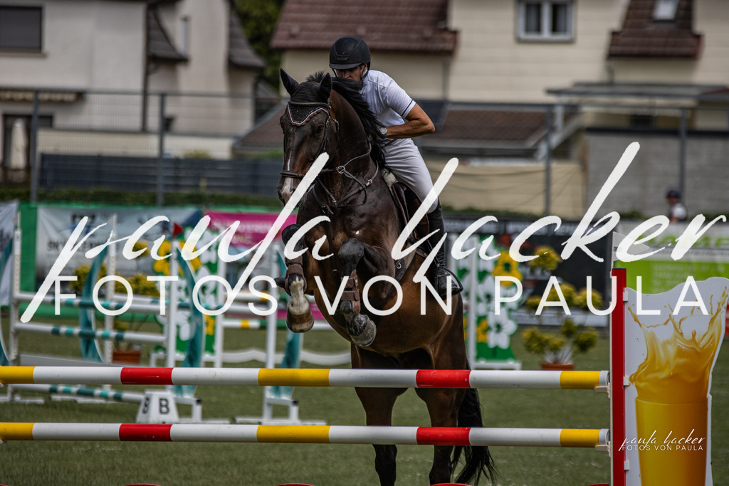 IMG_7007 | Erleben Sie dynamische Sport- und emotionale Tierfotografie in Süddeutschland mit Fotos von Paula. Spezialisiert auf Pferde- und Hundefotografie sowie Sportevents. Kontaktieren Sie mich für einzigartige und ausdrucksstarke Bilder Ihrer besonderen Momente.