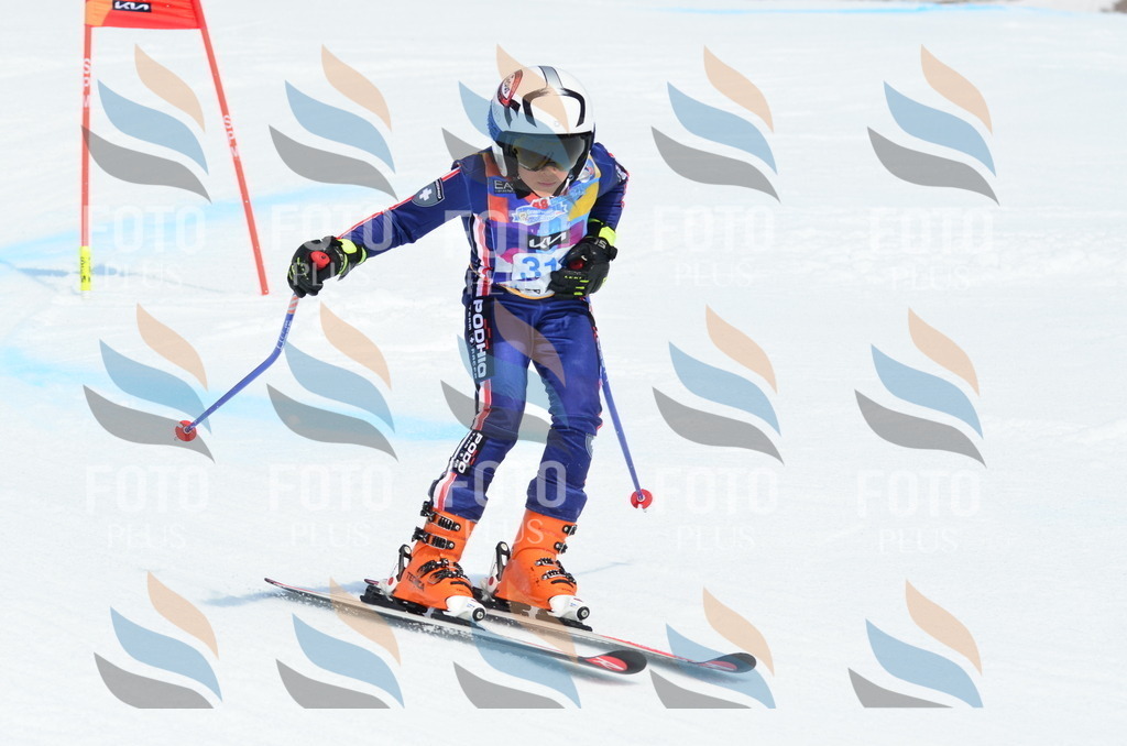 _ELE2370 | holidayphoto