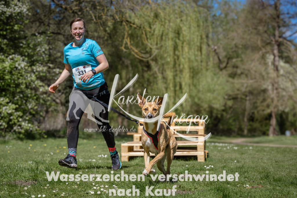 1255_ZZ95134 | kk-dogfotos