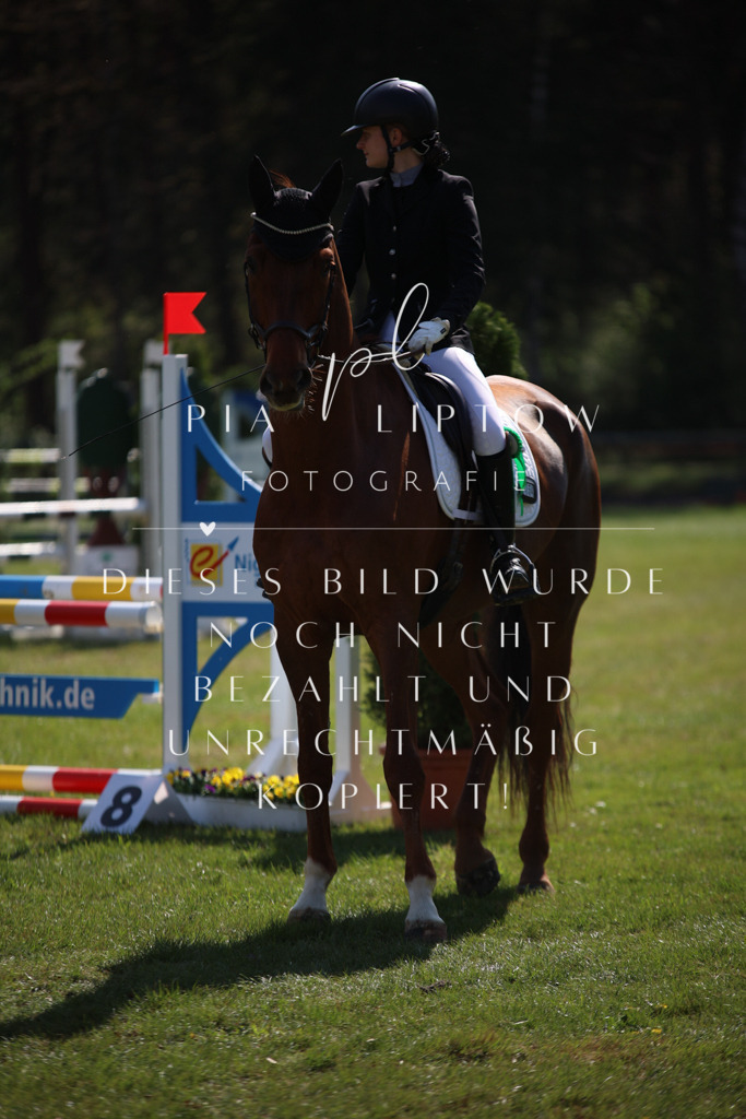 IMGT5562 | pl-fotografie