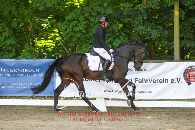 DKP42396 | Turniersportfotografie; Pferdefotografie; Dressurfotografie