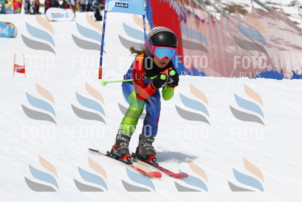 _U3G8024 | holidayphoto