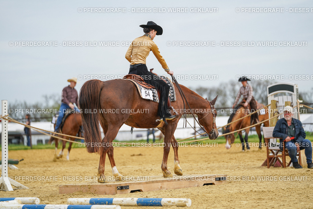 DSC03256 | Pferdegrafie