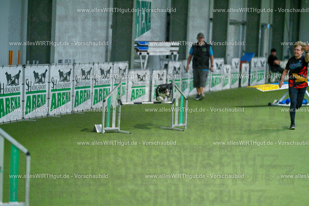 @allesWIRTHgut_Tierfotografie - www.allesWIRTHgut.de - 2604250816-7R505979 | Professionelle Tierfotografie in Mönchengladbach von Daniel Wirth (allesWIRTHgut). Liebevolle & natürliche Bilder von Hunden & Katzen für unvergessliche Erinnerungen.