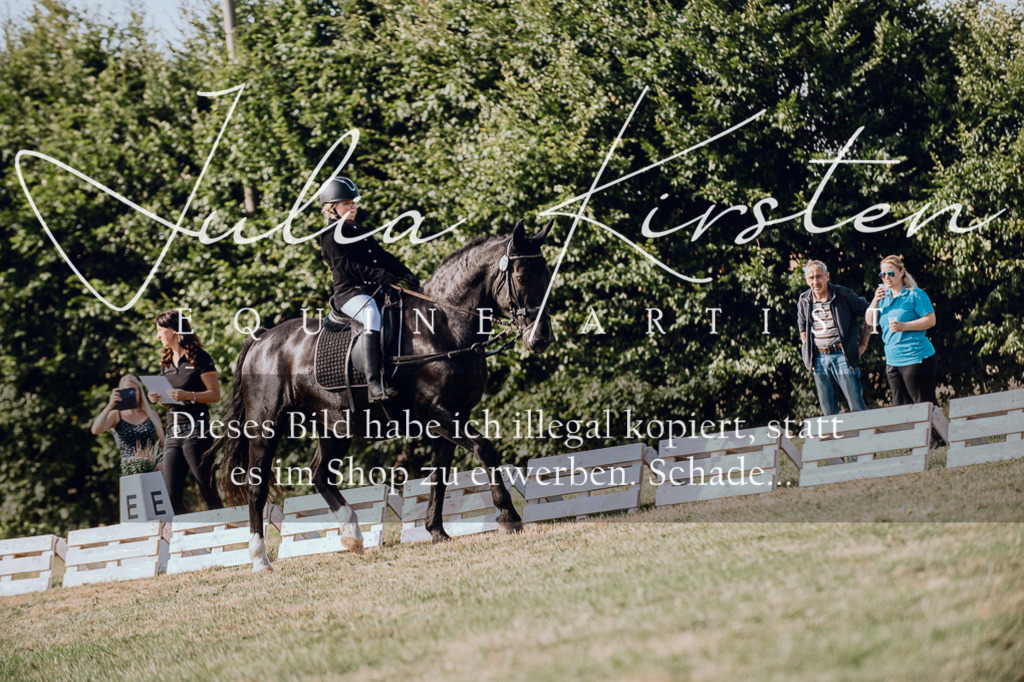 DSC_6982 | Pferde- und Turnierfotografie in Westsachsen. Pferdeportraits, Auftragszeichnungen und intuitive Kunst.