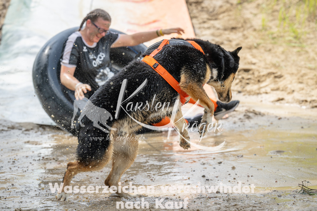 1236_ZZ98540 | kk-dogfotos