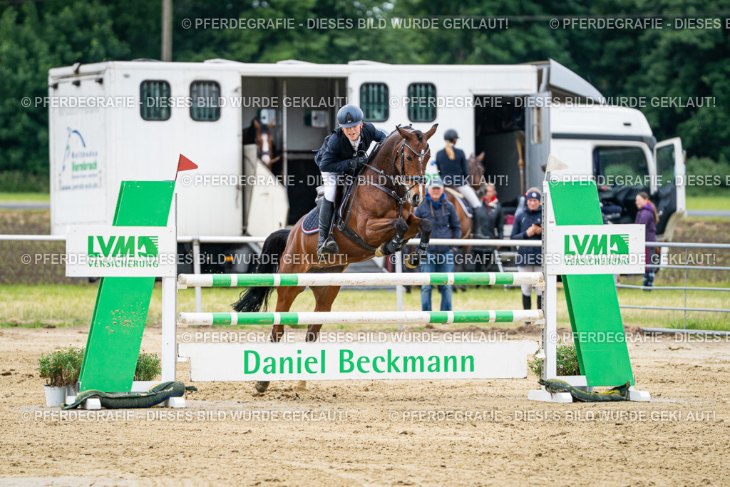 DSC06368 | Pferdegrafie