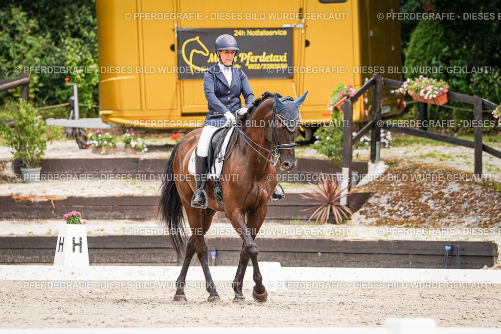 DSC05410 | Pferdegrafie