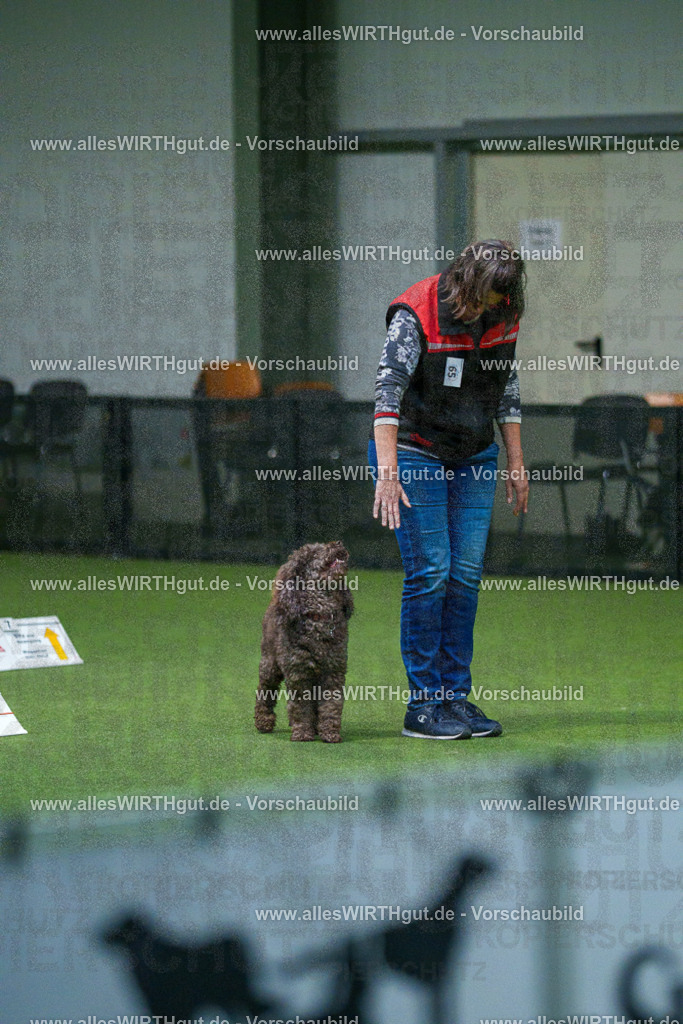 7R503591 | Professionelle Tierfotografie in Mönchengladbach von Daniel Wirth (allesWIRTHgut). Liebevolle & natürliche Bilder von Hunden & Katzen für unvergessliche Erinnerungen.