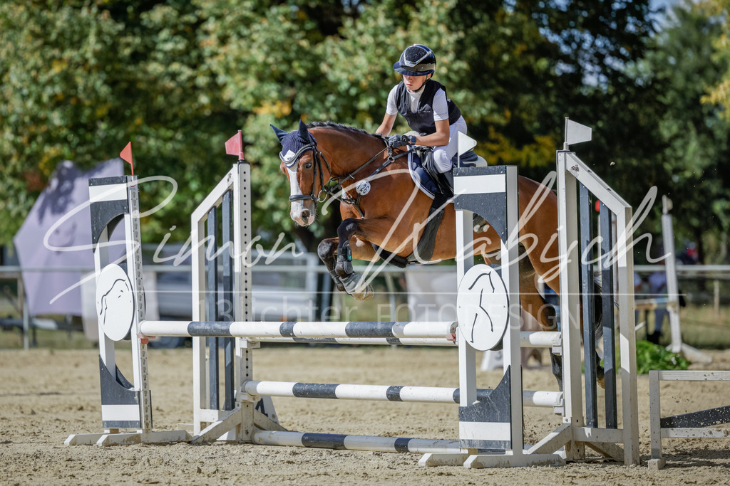20250906-_3LI6540 | Tierfotografie Pferde, Hunde, Katzen, Haustiere.
Turnierfotografie Reitturniere, Reiten, Springreiten, Dressur in Hanau, dem Main-Kinzig-Kreis und dem Rhein-Main- Gebiet um Frankfurt