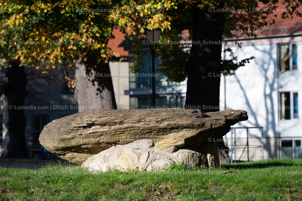 10049-13338 - Herbst am Domplatz in Halberstadt | Stockfoto und Bilderpool mit Bildmaterial aus Deutschland, dem Harz, Halberstadt, Quedlinburg, Wernigerode und weltweit. Qualitativ hochwertige und professionelle Fotos anschauen und kaufen. - Realisiert mit Pictrs.com