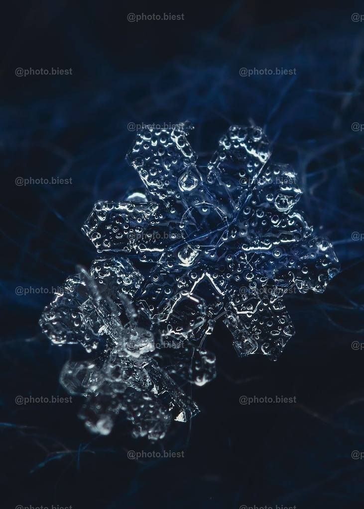 Schneeflocke #16 | Eine (von vielen) filigranen Schneeflocken in meinem ersten Makro-Schneeflocken-Winter. - Realisiert mit Pictrs.com