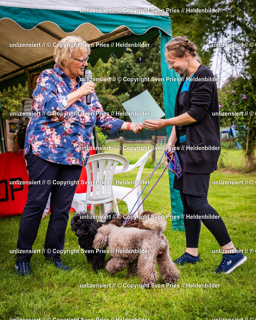 Sven Pries | 2024-09-22 - Hunderennen Baden-BadenPudelverein - Realisiert mit Pictrs.com