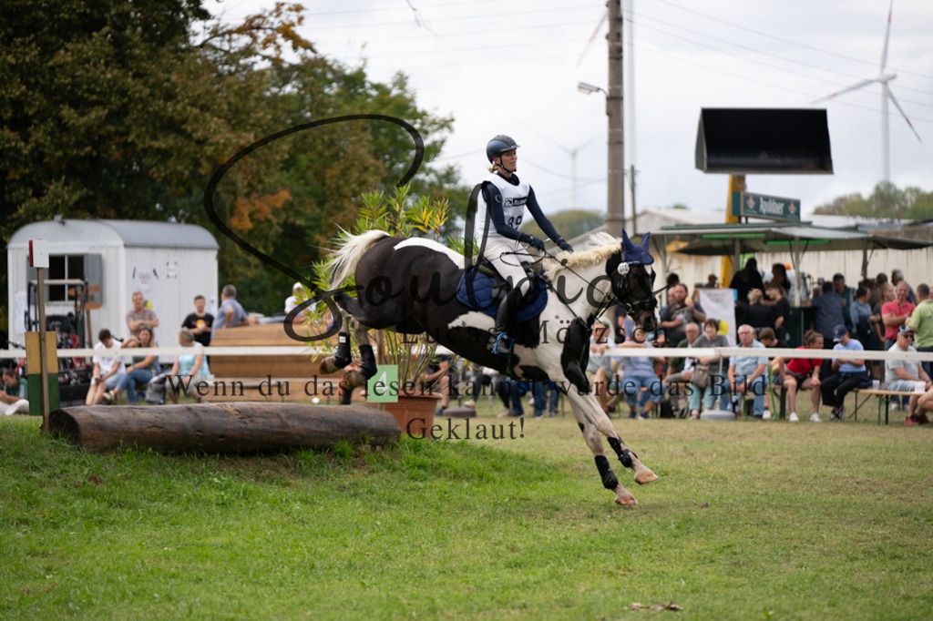 A7V03928 | Pferdefotograf