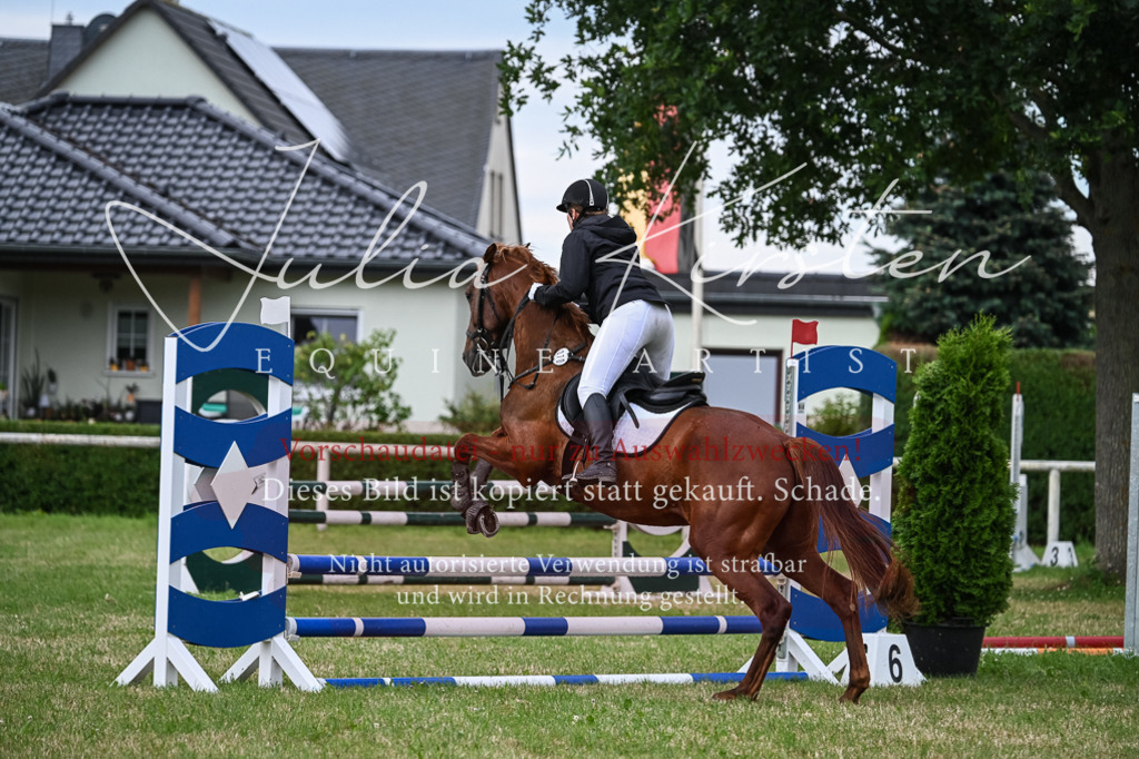 DSC_8378 | Pferde- und Turnierfotografie in Westsachsen. Pferdeportraits, Auftragszeichnungen und intuitive Kunst.