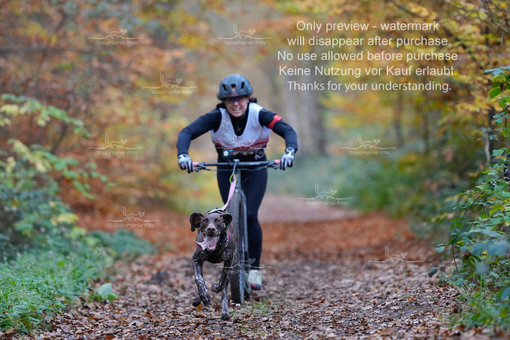 Scooter_So-2 | stephaniefillaphotographie - Realisiert mit Pictrs.com