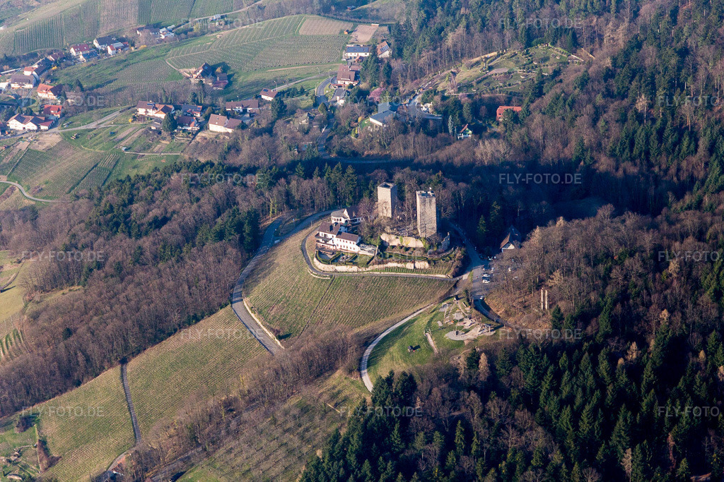 Luftbild: Burgruine Alt-Windeck im Ortsteil Riegel in Bühl im Bundesland Baden-Württemberg in Deutschland. Foto: IMG_097723.jpg vom 16.03.2017 durch Werner Riehm/FLY-FOTO.de