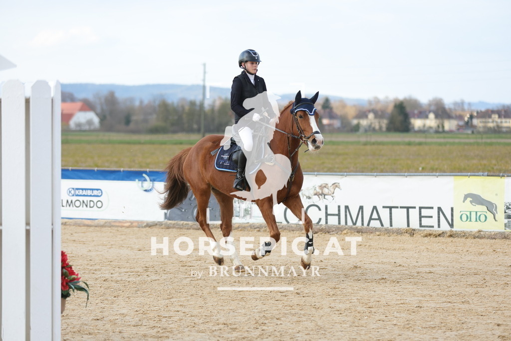 0P6A8803 | Willkommen bei Brunnmayr - Design & Fotografie – Ihrem Spezialisten für Reitturniere und Pferdeveranstaltungen in Oberösterreich, Salzburg und Bayern! Seit über 17 Jahren sind wir leidenschaftlich dabei.