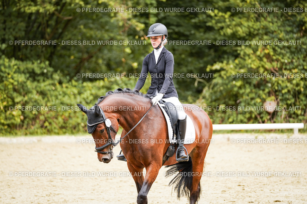 DSC00538 | Pferdegrafie