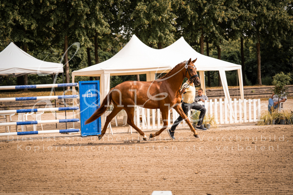 FrER00029 | Leoni Ertmer Photography - Realisiert mit Pictrs.com