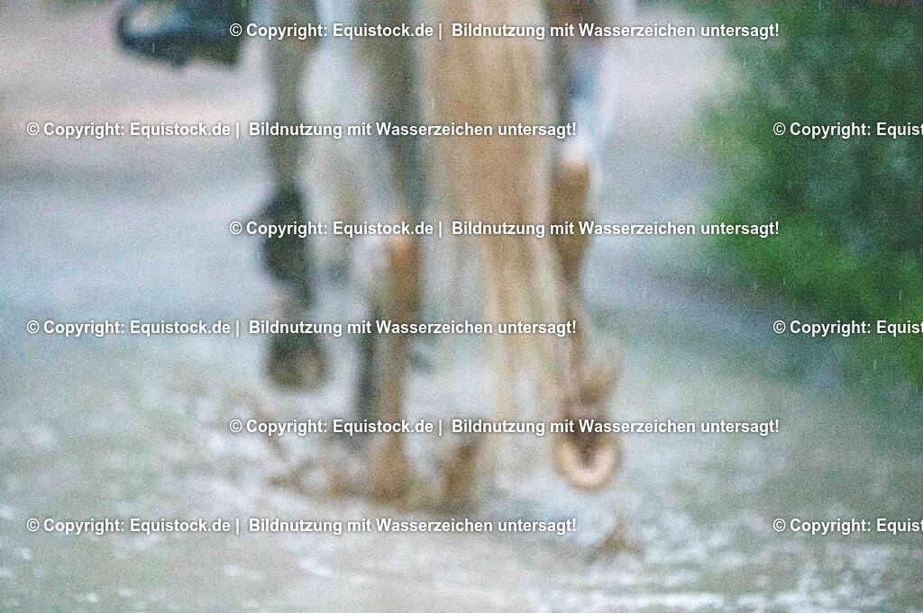 20250606_Lange-Pferdenacht_1186 | Foto: Thomas Hartig