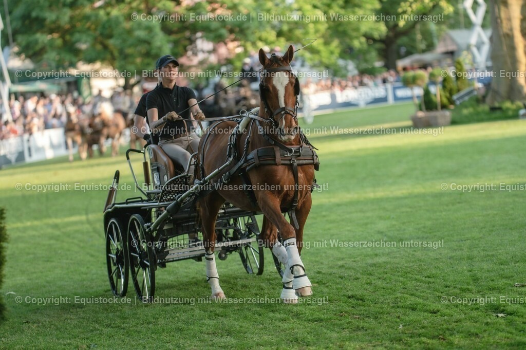 20230526_Pferdenacht_0168 | equistock