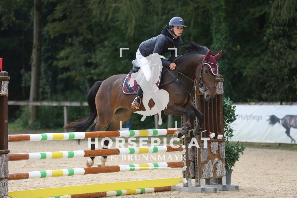 0P6A7743 | Willkommen bei Brunnmayr - Design & Fotografie – Ihrem Spezialisten für Reitturniere und Pferdeveranstaltungen in Oberösterreich, Salzburg und Bayern! Seit über 17 Jahren sind wir leidenschaftlich dabei.