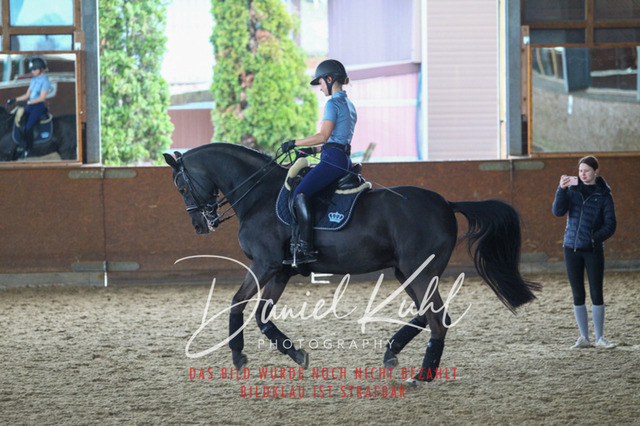 DKP42698 | Turniersportfotografie; Pferdefotografie; Dressurfotografie