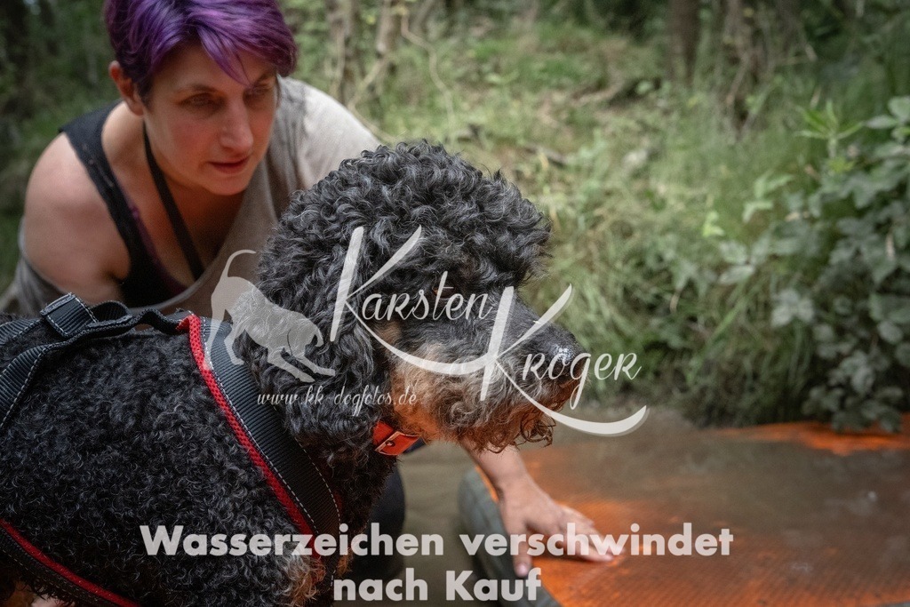 1251_ZZ91252T | kk-dogfotos