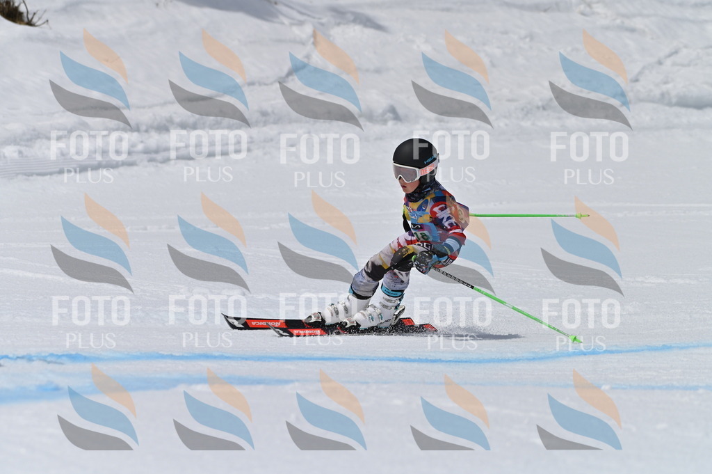 BGV_6294 | holidayphoto