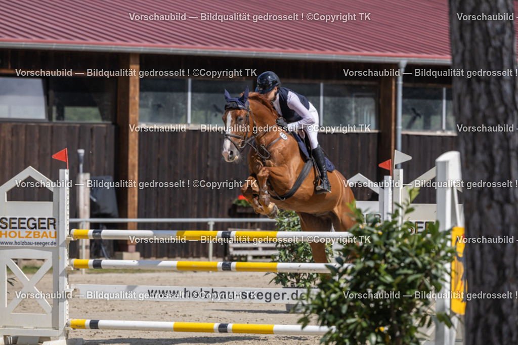 _D5A1379 | Emotionale Pferde- & People-Fotografie rund um Heidelberg, Leimen & Umgebung. Natürliche Fotos von Pferd, Mensch & Familie. Jetzt Termin sichern!